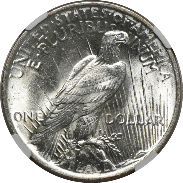 1921 Morgan silver dollar MS-66, and a 1924 Peace silver dollar VAM-1A Bar "D" MS-65 CAC, both NGC