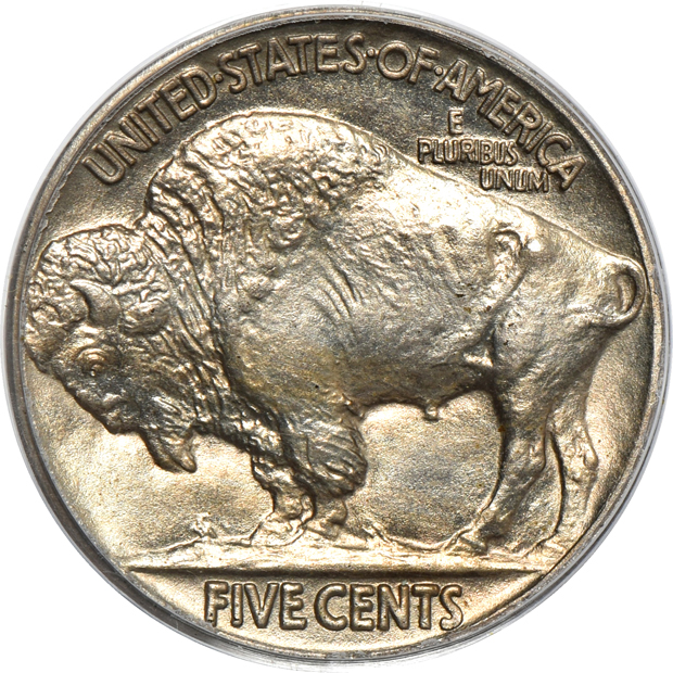1913 Type 2 PCGS PR-66 (green label) CAC