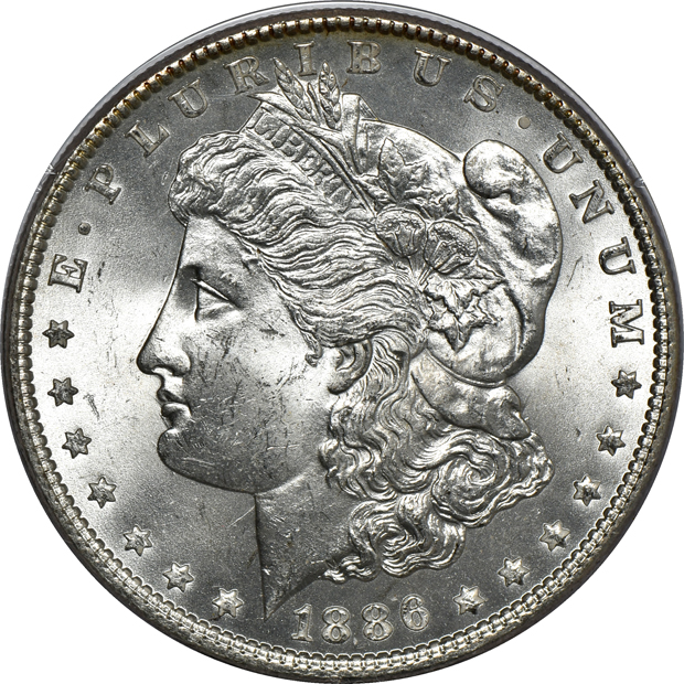 Seven Morgan silver dollars, all PCGS (rattler) CAC