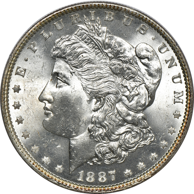 Five Morgan silver dollars and a Peace silver dollar, all PCGS (rattler)