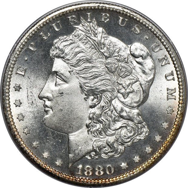 Five Morgan silver dollars and a Peace silver dollar, all PCGS (rattler)