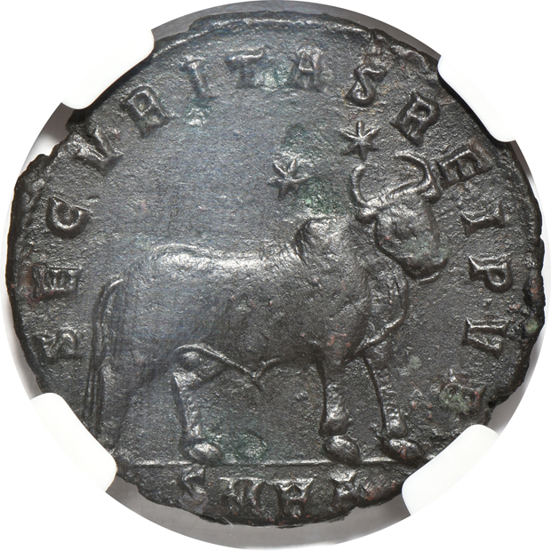 Eight Ancient coins, as described