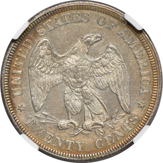 1876 NGC UNC details/cleaned
