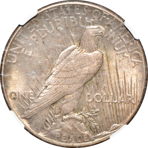 Complete collection of Peace silver dollars in a Dansco 7175 album