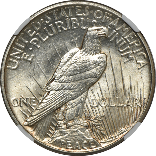 1921 Peace, High Relief PCGS MS-63, and a 1921 Peace, High Relief NGC MS-63+