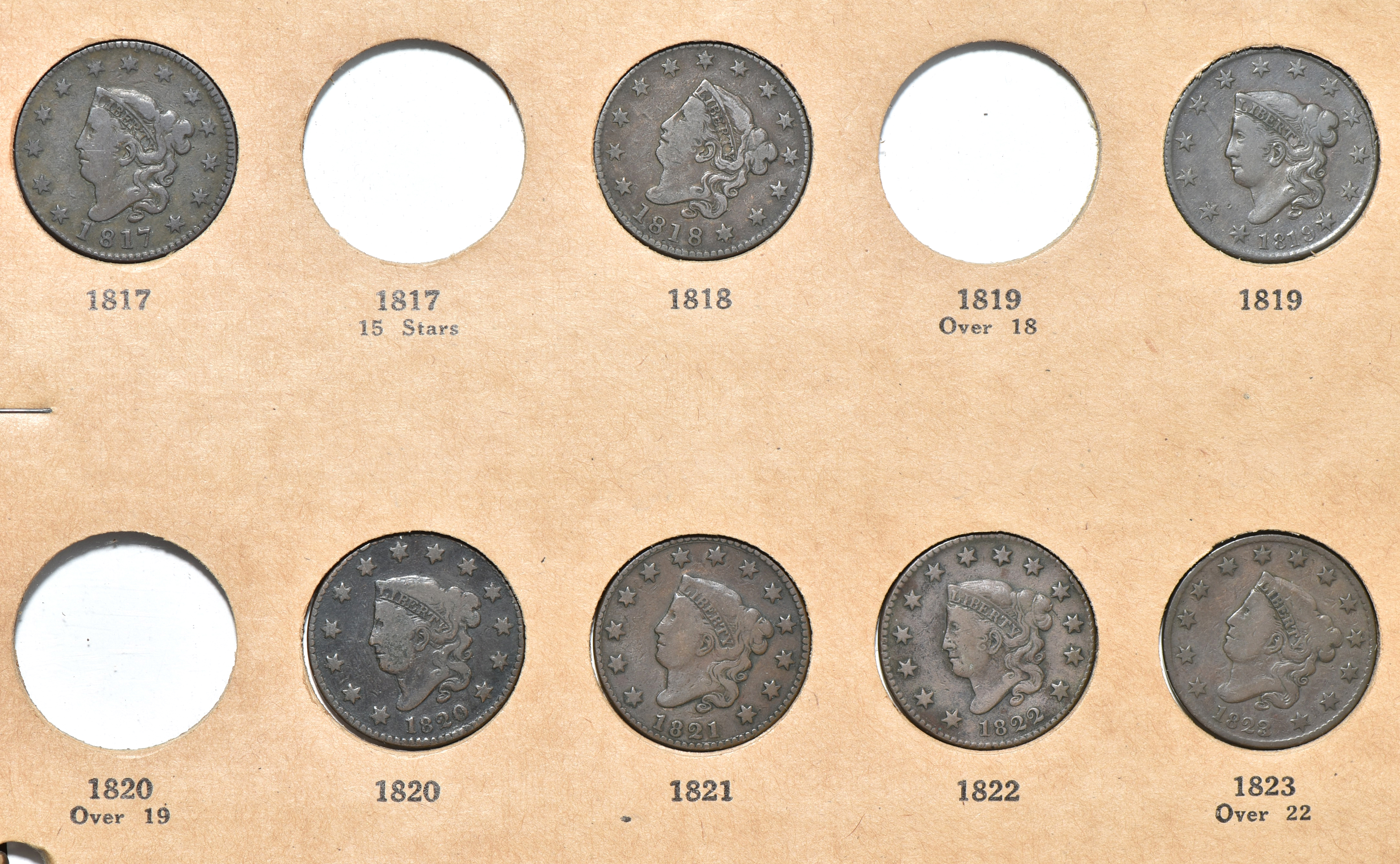 Thirty different large cents in a Wayte Raymond album