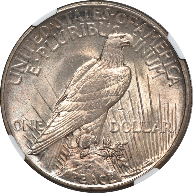 1921 Peace, High Relief NGC MS-64
