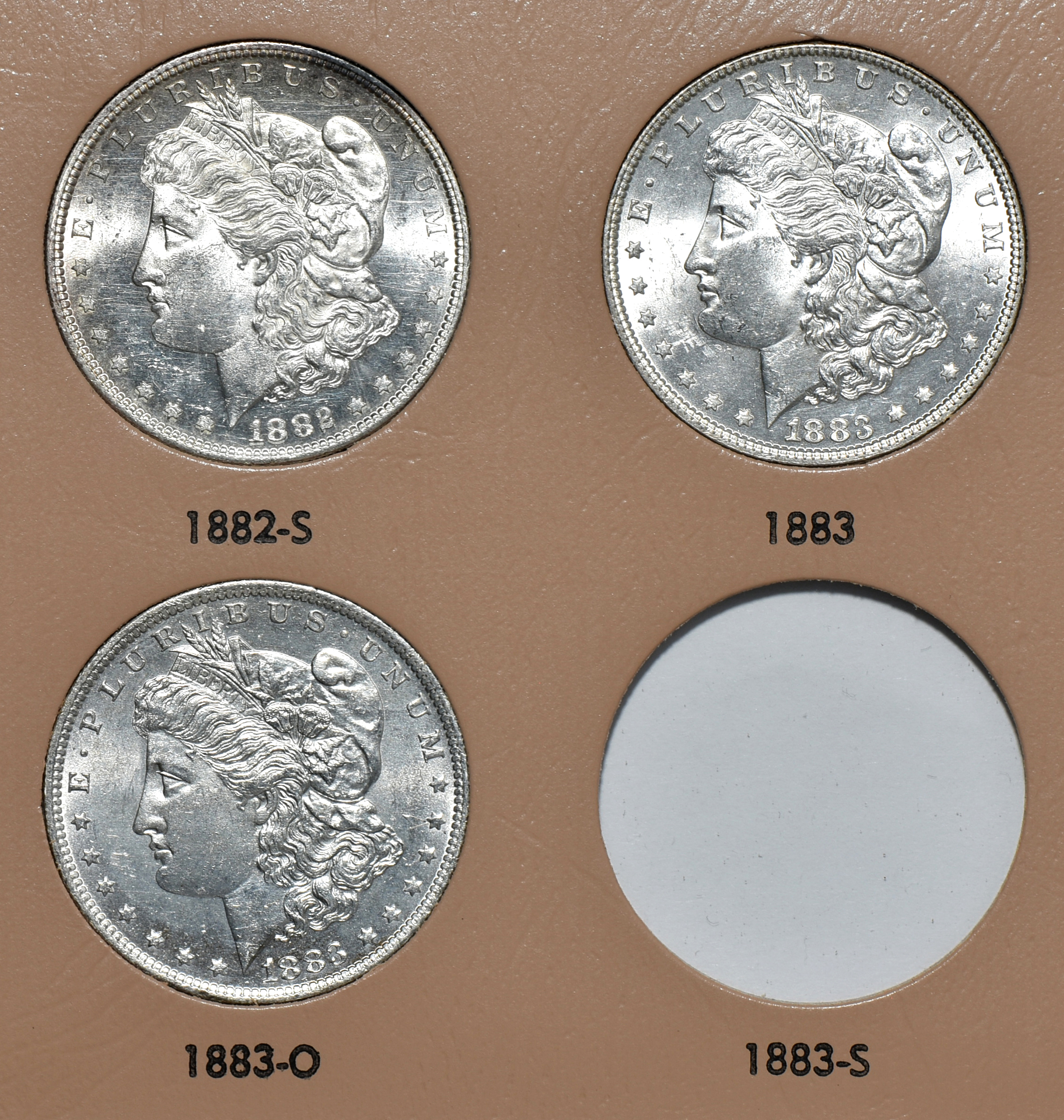 Seventeen different Morgan silver dollars in a Dansco 7173 album