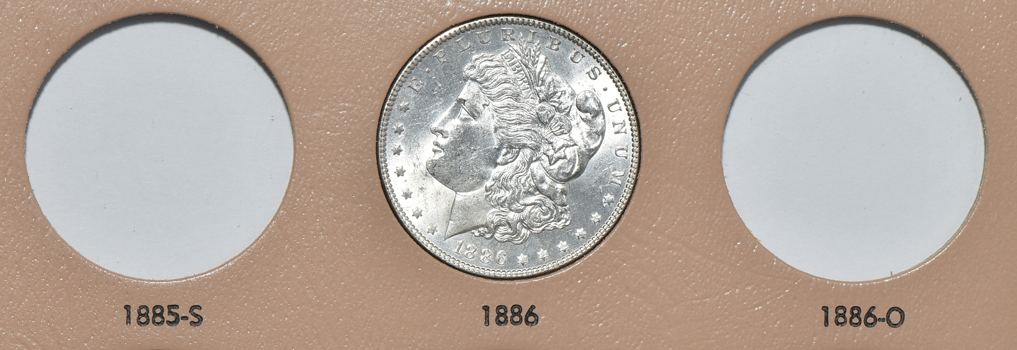 Seventeen different Morgan silver dollars in a Dansco 7173 album