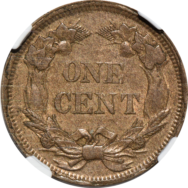 Three Flying Eagle cents and one Indian cent, all certified