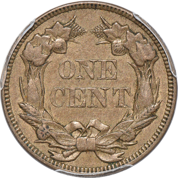 Three Flying Eagle cents and one Indian cent, all certified
