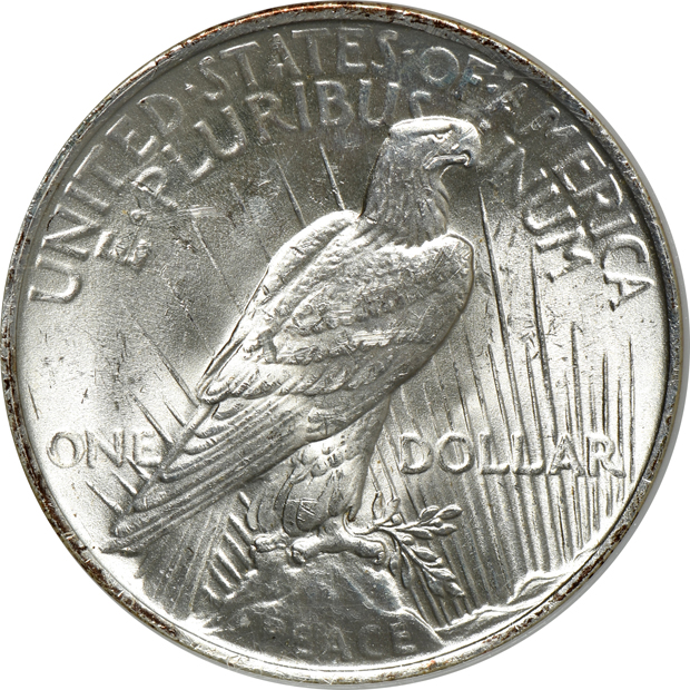 1923 NGC MS-60 Sample Slab (no line) CAC