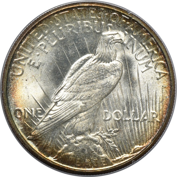1923 PCGS MS-62 (doily) CAC, and a 1925-S PCGS MS-64 (rattler)