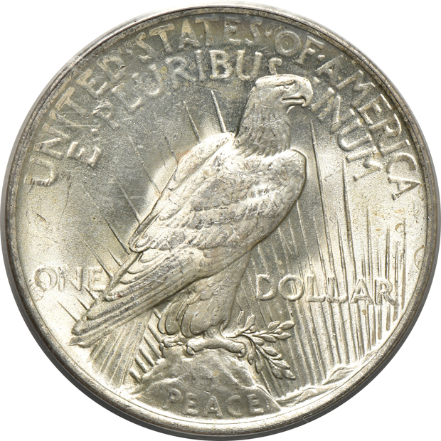 1923 PCGS MS-62 (doily) CAC, and a 1925-S PCGS MS-64 (rattler)