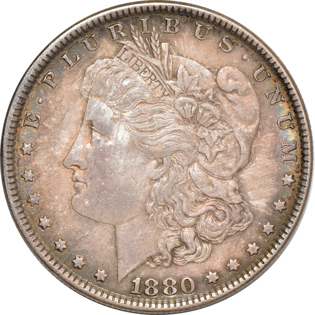 Twenty Morgan dollars