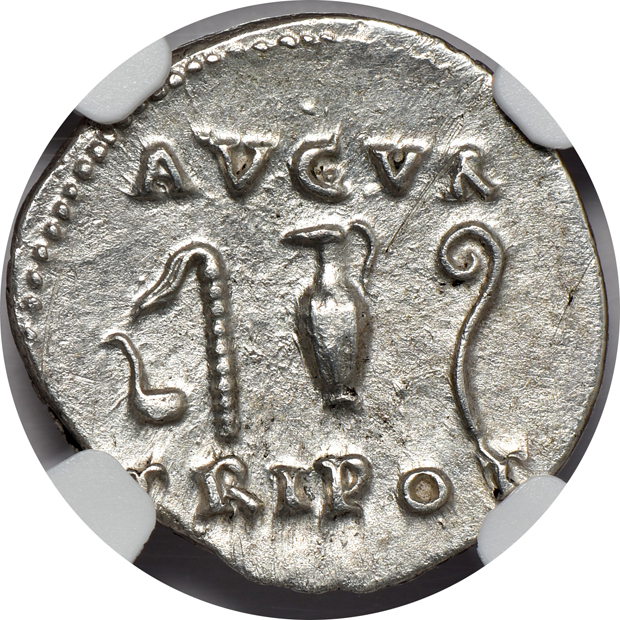 Roman Empire - AD 69-79 denarius - NGC MS