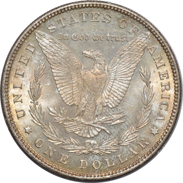 Four Morgan silver dollars, all PCGS MS-64 (rattler)