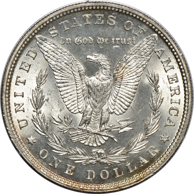 Four Morgan silver dollars, all PCGS MS-64 (rattler)