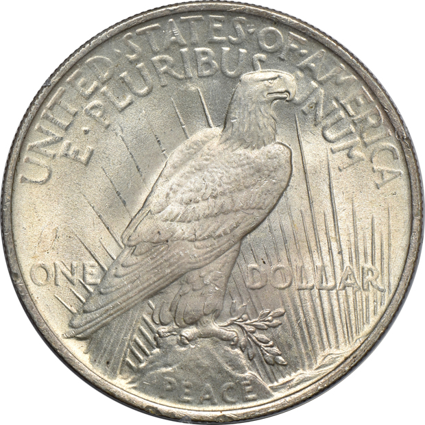 Two Morgan silver dollars and two Peace silver dollars, all PCGS (rattler)