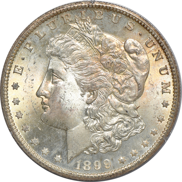 Two Morgan silver dollars and two Peace silver dollars, all PCGS (rattler)