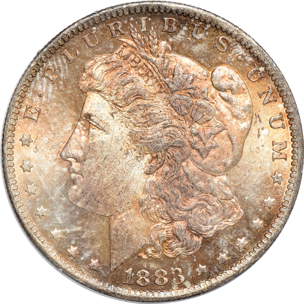Five Morgan silver dollars, all PCGS MS-64 (rattler) CAC