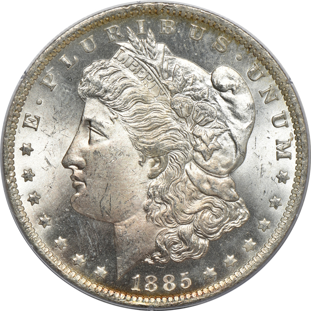 Five Morgan silver dollars, all PCGS MS-64 (rattler) CAC