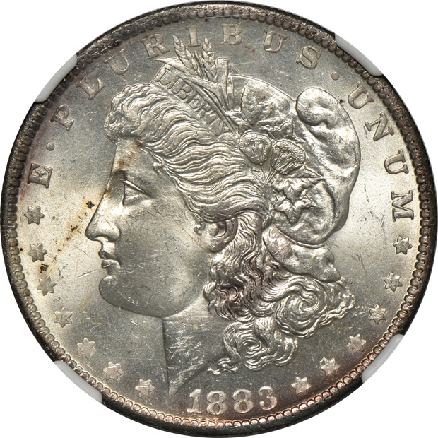 Ten Morgan silver dollars with VAM attributions, all NGC MS-64 (one MS-64+)