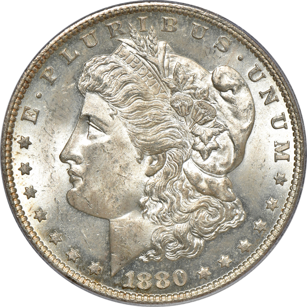 Five Morgan silver dollars, all PCGS MS-64