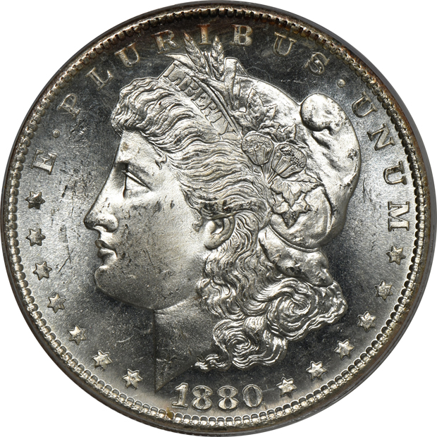 Seven Uncirculated Morgan silver dollars certified by PCGS (one rattler, six green label) all CAC