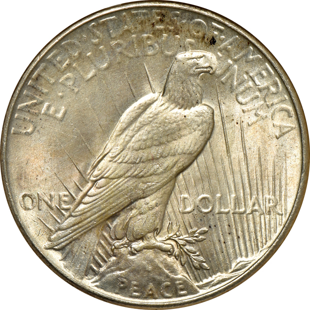 1878-S Morgan silver dollar MS-65, 1898 Morgan silver dollar MS-65 CAC, and a 1935 Peace silver dollar MS-64 CAC, all NGC (no line)