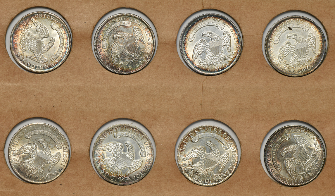 Eight Capped Bust half-dollars in a Wayte Raymond page