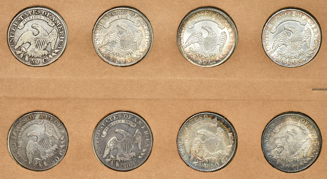 Eight Capped Bust half-dollars in a Wayte Raymond page