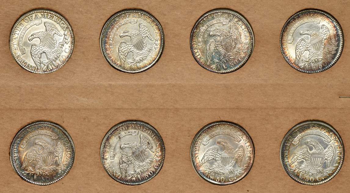 Eight Capped Bust half-dollars in a Wayte Raymond page