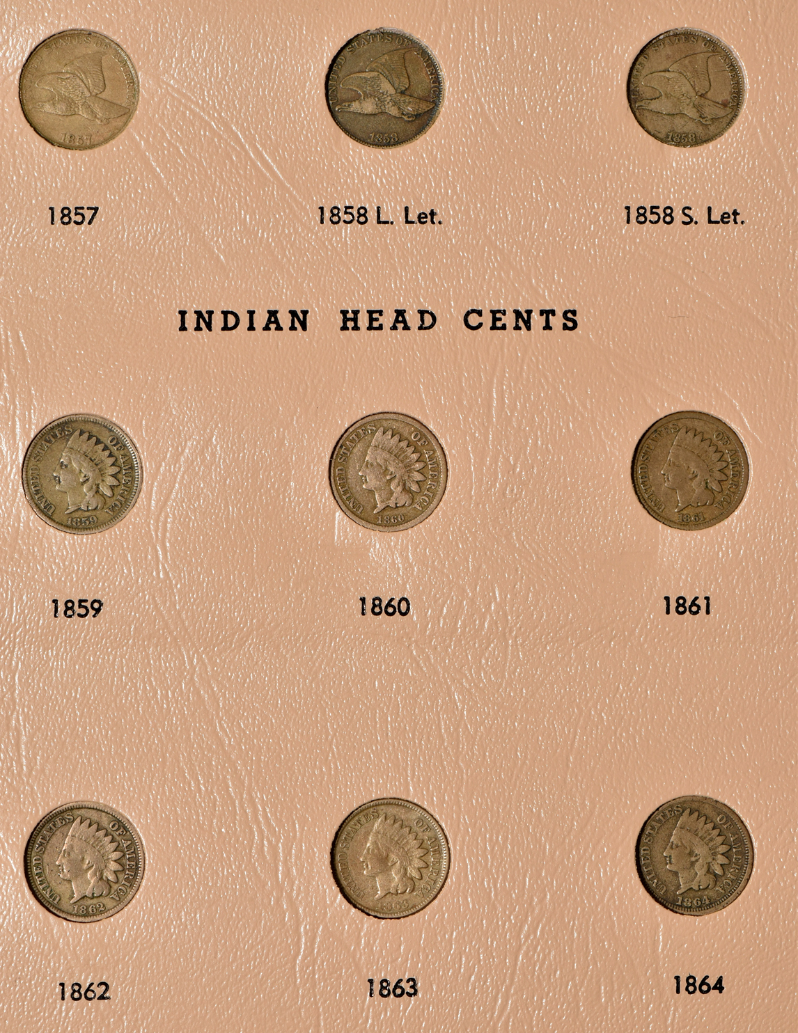 Collections of Flying Eagle and Indian Head cents in a complete Dansco 7101 album