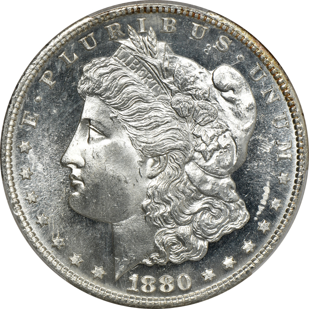 Five Morgan silver dollars certified by PCGS