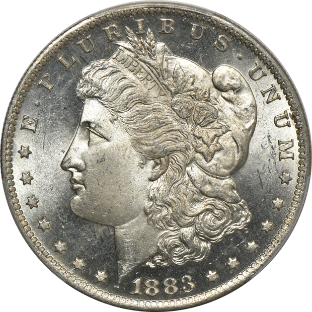 Seven Morgan silver dollars certified by PCGS