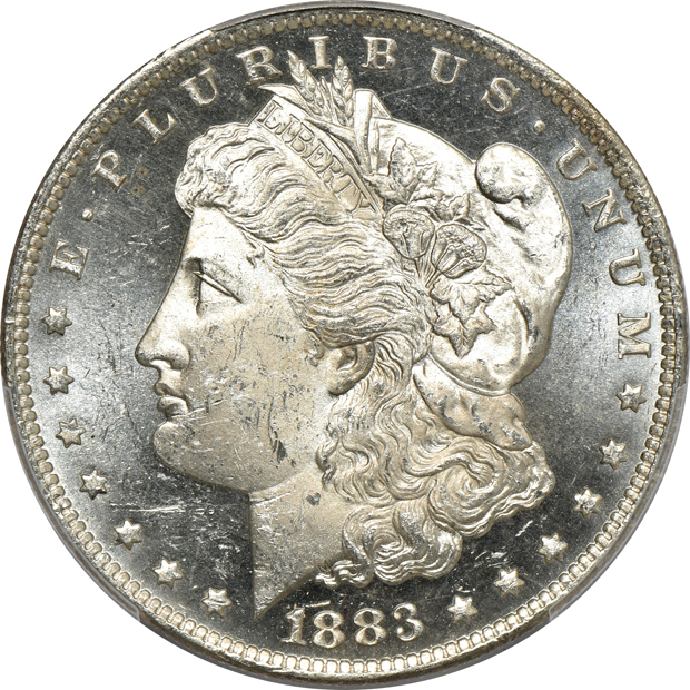 Seven Morgan silver dollars certified by PCGS