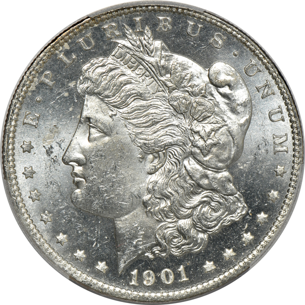 Seven Morgan silver dollars certified by PCGS
