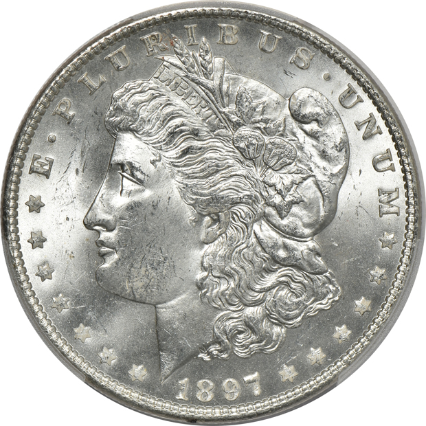 Seven Morgan silver dollars certified by PCGS