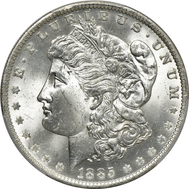Seven Morgan silver dollars certified by PCGS