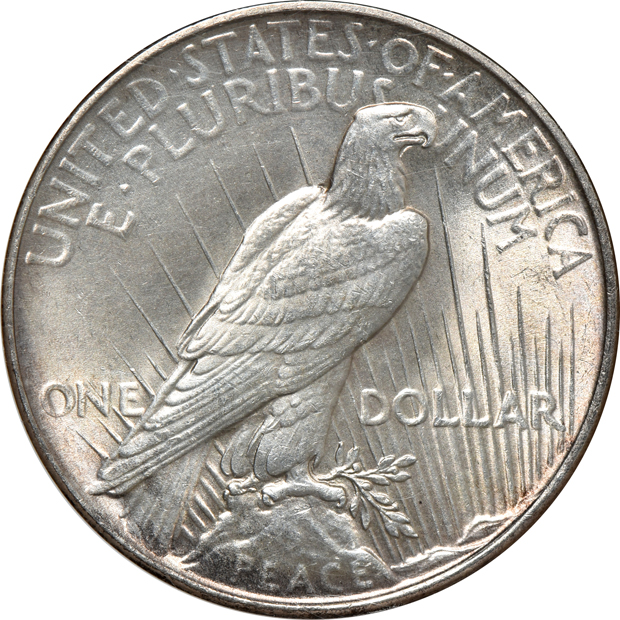 Collection of Peace silver dollars in a complete Dansco 7175 album