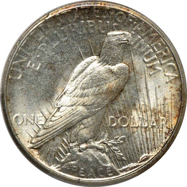 1922 NGC MS-63, 1922 NGC MS-66 CAC, and a 1927 PCGS MS-64