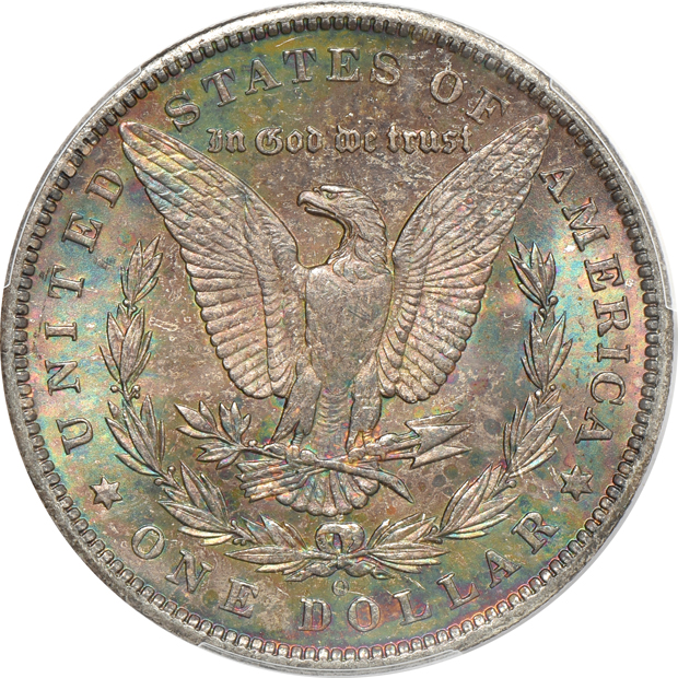 Five Uncirculated Morgans silver dollars with beautifully toned reverses, all PCGS
