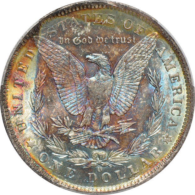 Five Uncirculated Morgans silver dollars with beautifully toned reverses, all PCGS