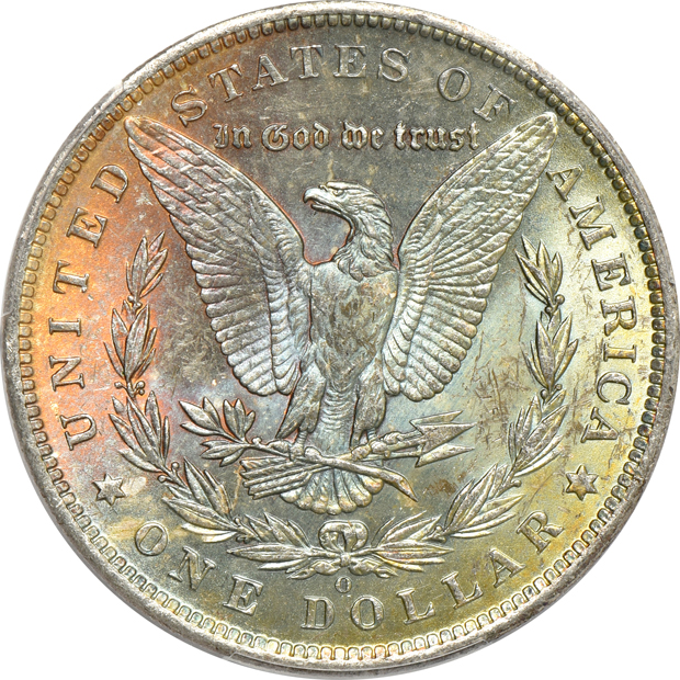 Five Uncirculated Morgans silver dollars with beautifully toned reverses, all PCGS
