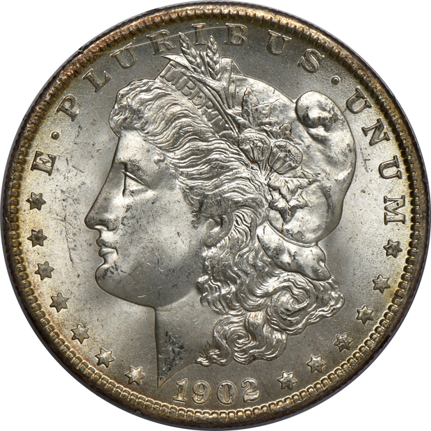Seven silver type coins in PCGS rattler holders