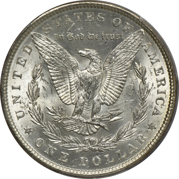 Five toned Morgan silver dollars certified by PCGS