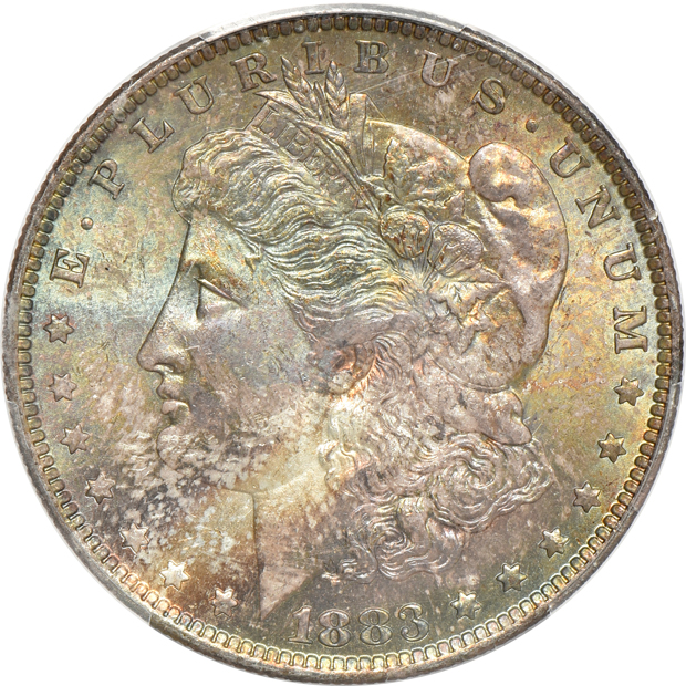Five toned Morgan silver dollars certified by PCGS