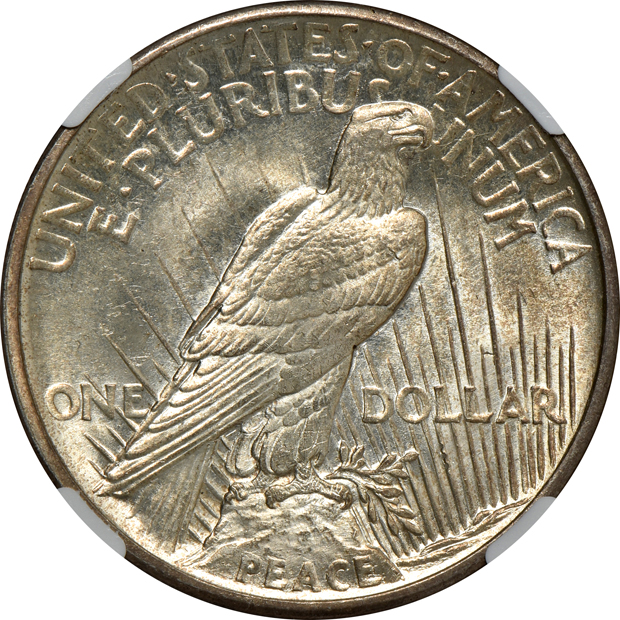 1921 Peace, High Relief NGC MS-65+