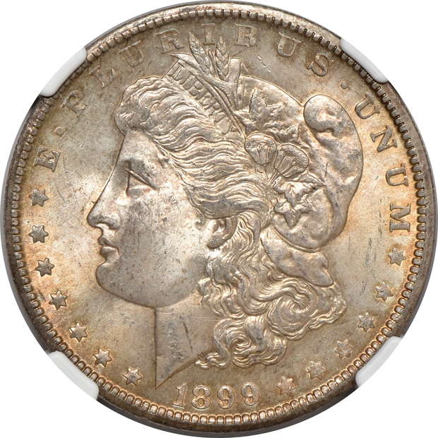 Seven certified GEM Morgan silver dollars